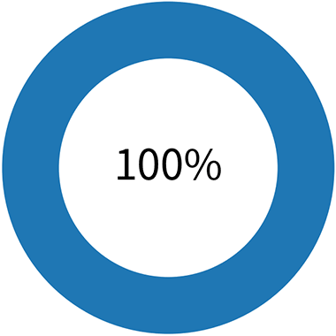 研修内容の理解度 100%